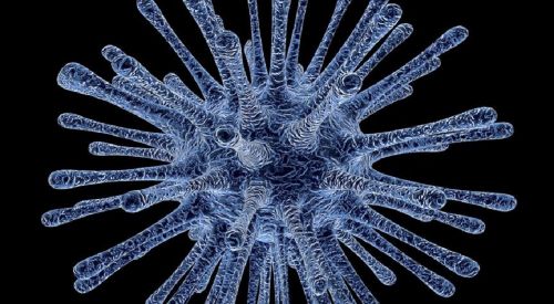 ANALYSIS - Coronavirus: New 'Black Swan' of global economy?