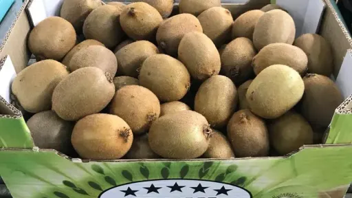 Mild Winter Cuts Greece’s Kiwi Production, Supplies Seen Running Out