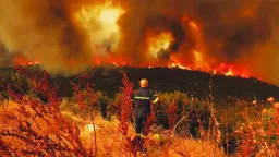 The biggest forest fires of the last 20 years in Western Thrace