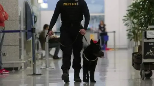 Woman arrested at Athens airport for smuggling 38kg of cannabis