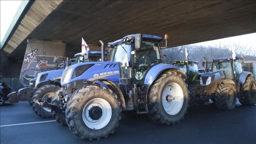 Farmers stage protest outside European Parliament