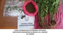 Man cultivating cannabis arrested in Xanthi