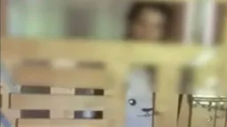 Woman kept in makeshift cage in family home for seven years