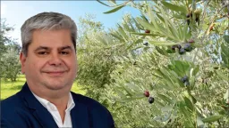 Zeybek: "The Ministry left olive producers without support and help"