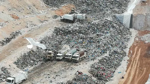 WWF report slams waste Policy