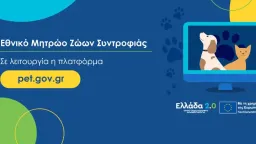 Pet registry information is now available on Gov.gr Wallet