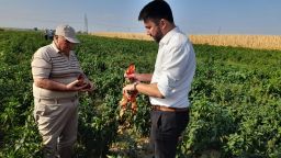 Damage assessment held for the crops damaged by the extreme heat