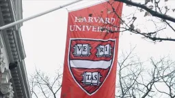 Harvard University sees drop in new Black students after Supreme Court ruling