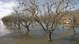 Greek flood deaths surge over past decade