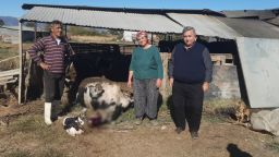 Fire in İnhanlı village destroys barn, livestock lost