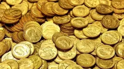 Thief sentenced to 7 years in prison for stealing 450 gold coins from elderly woman