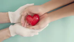Annual organ donation record broken