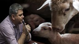 Zeybek urges government for emergency support in livestock sector