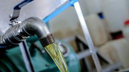 Olive oil: Ban on transporting in cans