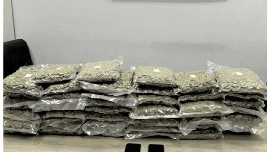 Drug bust in Kastanies, Meriç: Over 20 kg of cannabis seized | Millet News