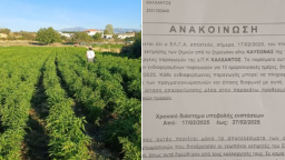 Drought damage assessment for Kalfa Region farmers announced