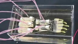 Japanese scientists develop world's largest 'biohybrid' robot hand