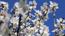 Weather: temperature rise from today – “Summer” returns from the beginning of next week