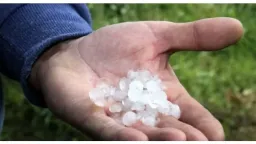 New Left Party submits parliamentary inquiry on hailstorm damages in Evros