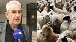 N. Foteinias: Sheep and goat pox does not transmit to humans
