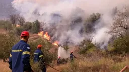 KKE calls for urgent health measures in Evros and Rhodope after 2023 wildfire