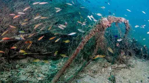 Greece lagging on marine protected area commitments