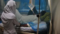 Global malaria deaths near 600,000 as Africa remains epicenter of crisis