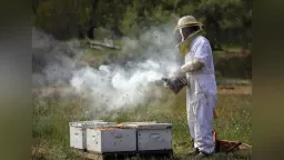 Attention beekeepers: Municipality of Myki issues fire prevention advisory