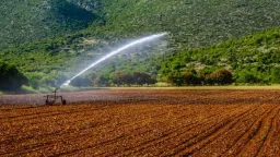 Three steps to avert water crisis, save farmlands