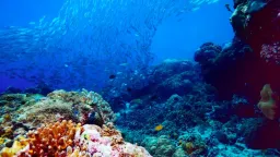 99.999% of the world’s ocean floor remains unseen