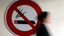 France to outlaw outdoor smoking in most public areas: minister