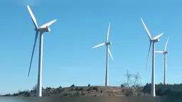 Environmental groups criticize wind turbine projects in Evros Region