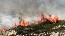 50 agroforestry fires in Greece in past 24 hours
