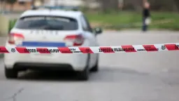 Elderly couple killed in Kalamata; son arrested