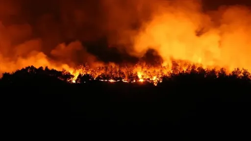 Wildfires erupt at 48 locations across Greece amid scorching heatwave