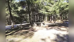 High risk of wildfires on Thursday in Rhodope Regional Unit