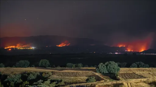 Red Cross urges Europe to act as deadly heat wave, wildfires intensify