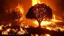 Heat wave scorches European and Mediterranean countries