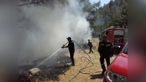 Urgent appeal from fire department commander of Eastern Macedonia and Thrace: “Do not light fires for any reason”