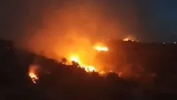 Wildfire blazing in Taşoz (Thasos) as terrain hampers firefighting efforts