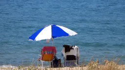 High temperatures persist across Thrace