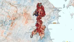 Urgent need for forest protection