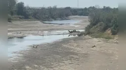 Meriç: No water available for irrigation – All pumping stations out of operation