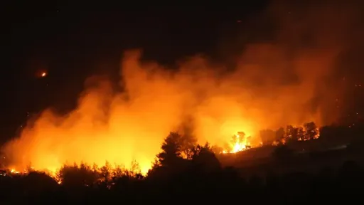 10 dead as forest fire traps responders in central Türkiye: Minister