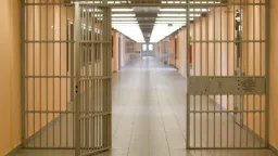 Foreign woman detained pending trial for alleged murder of 3-year-old daughter