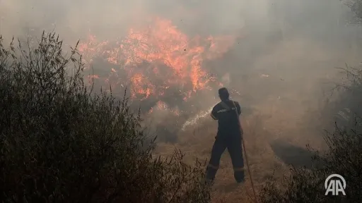 Very high risk of fire in 10 Greek regions on Tuesday
