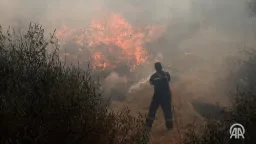 Very high risk of fire in 10 Greek regions on Tuesday