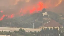 Wildfires rage across Greece; Fire Brigade battles to contain them