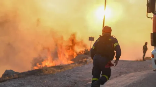 Government announces support package for fire-hit regions