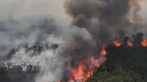 Three arrested in Greece for violating fire prevention bans